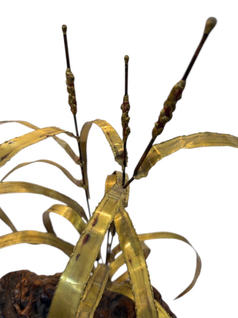 Brutalist Brass Mid Century Cat Tails on Polished Root Base