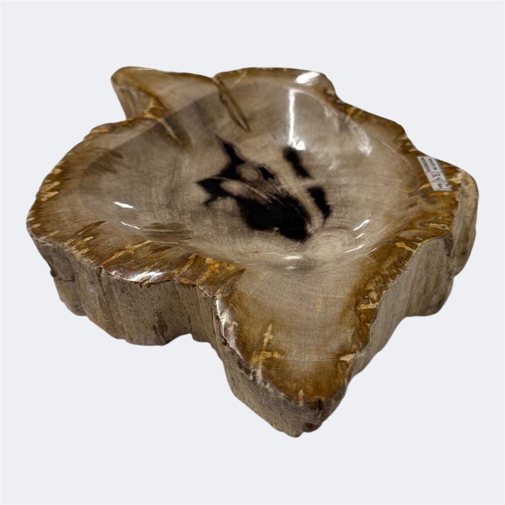 Petrified Wood Bowl or Catchall
