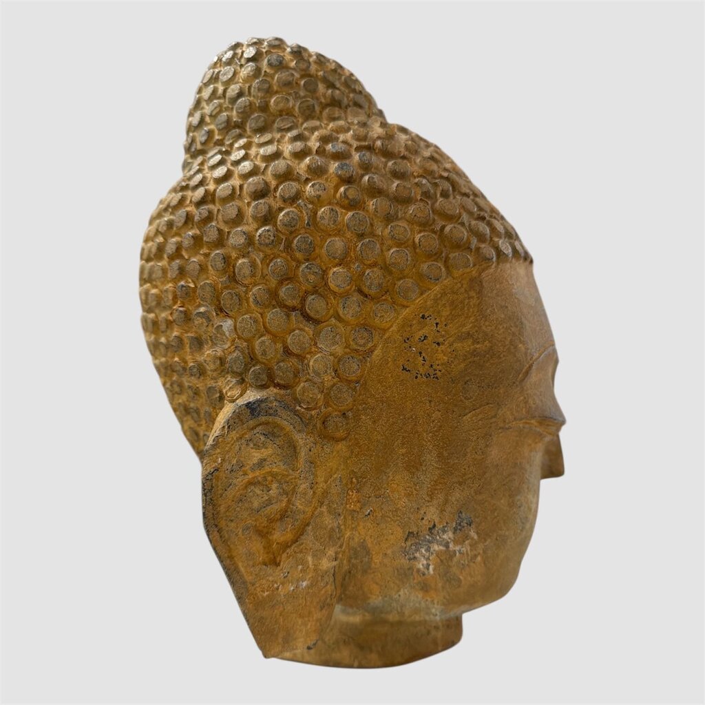 Stone Shakyamuni Budda Head Closed Eyes Contemplation Meditating