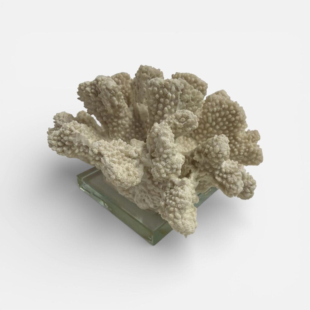 Faux Coral on Glass Base