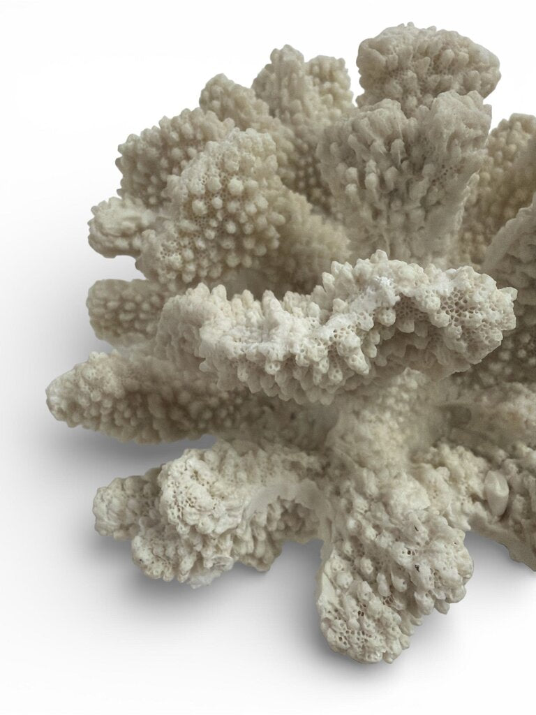 Faux Coral on Glass Base