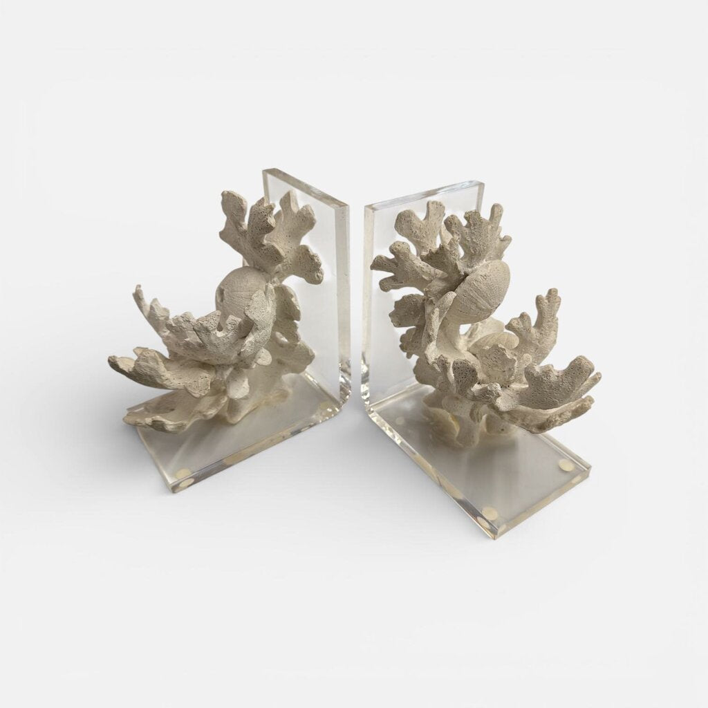 Pair of Sunbleached Faux Coral Bookends