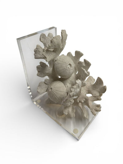Pair of Sunbleached Faux Coral Bookends