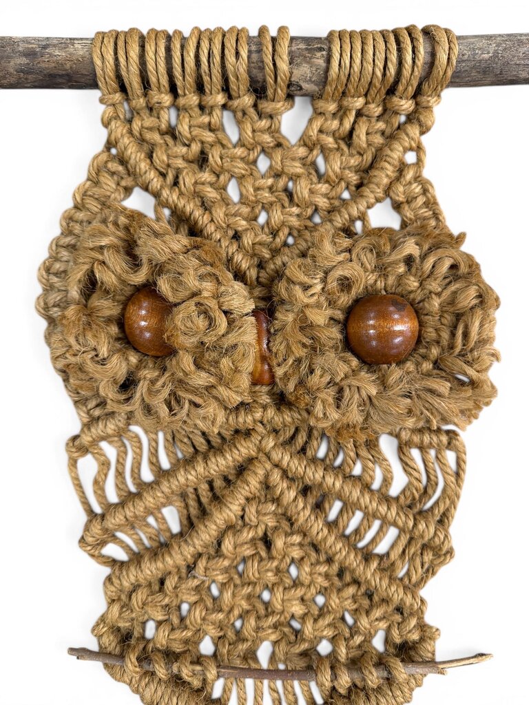 Mid Century Modern Macrame Owl Wall Hanging