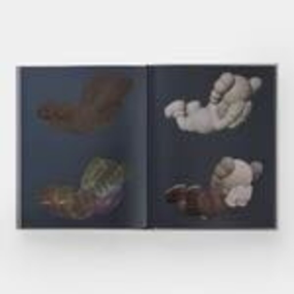 Kaws New Fiction