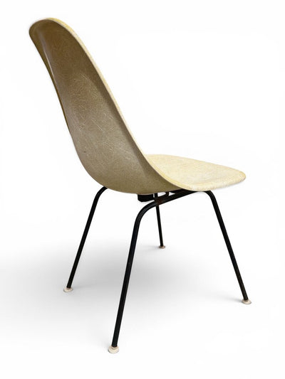 Cole Steel Fiberglass Shell Chair