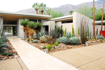 The Mid Century Modern Landscape