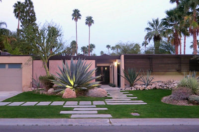 The Mid Century Modern Landscape