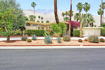 Palm Springs: Mid-Century Modern by Dolly Faibyshev