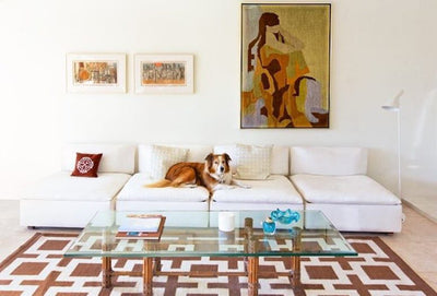 Palm Springs: Modern Dogs At Home by Nancy Baron