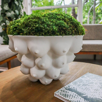 Johnathan Adler Georgia Centerpiece Bowl