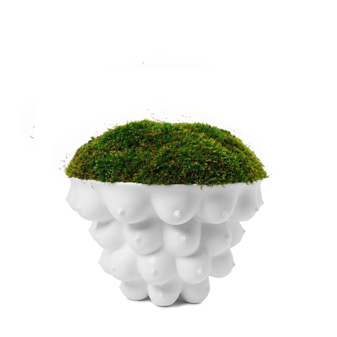 Johnathan Adler Georgia Centerpiece Bowl
