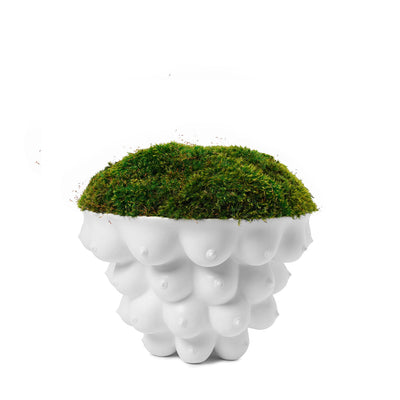 Johnathan Adler Georgia Centerpiece Bowl