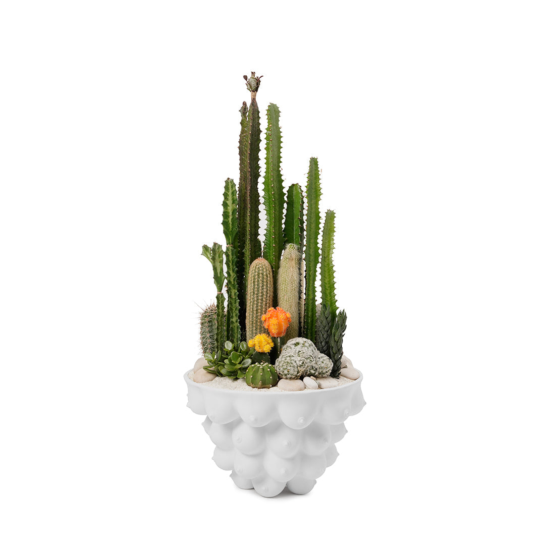 Johnathan Adler Georgia Centerpiece Bowl