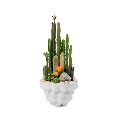 Johnathan Adler Georgia Centerpiece Bowl