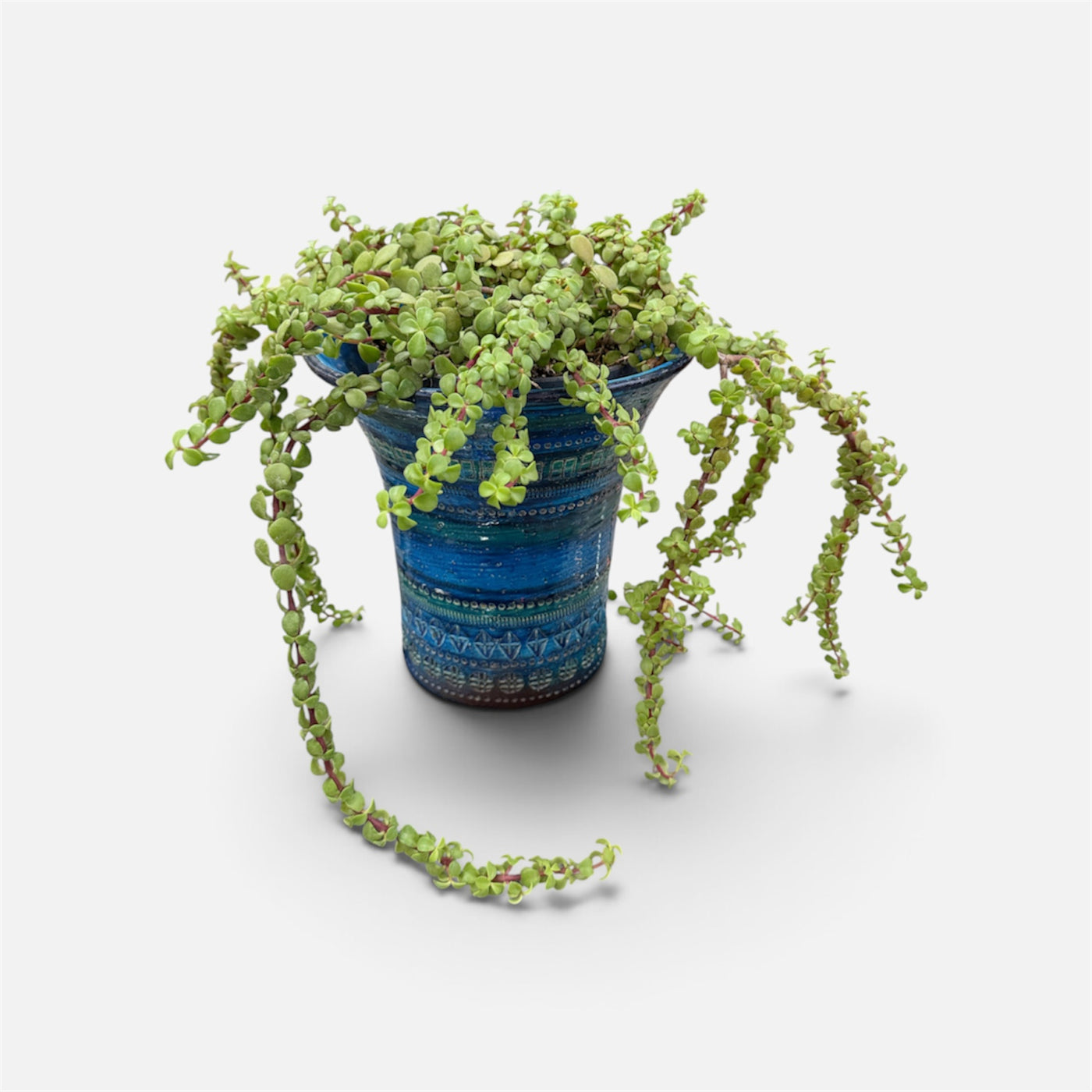 Bitossi Rimini Blue  Plant Pot