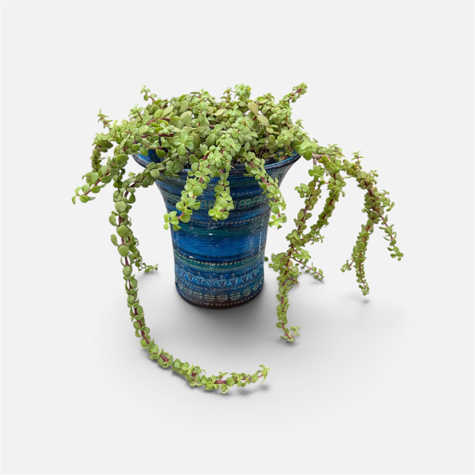 Bitossi Rimini Blue  Plant Pot