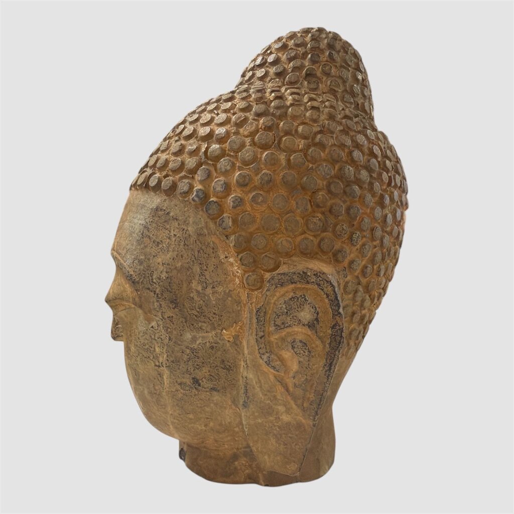 Stone Shakyamuni Budda Head Closed Eyes Contemplation Meditating