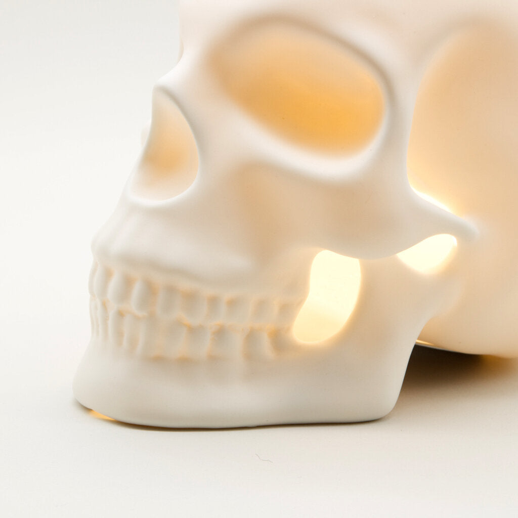 Skull Lamp - 6"Hx8"Dx5.5"W