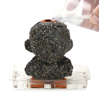 Chia Pet Terracotta 5" Munny