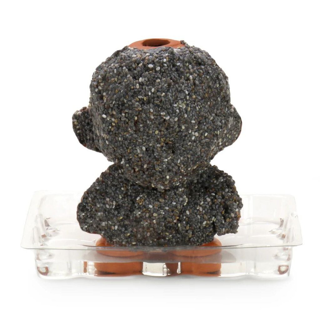 Chia Pet Terracotta 5" Munny