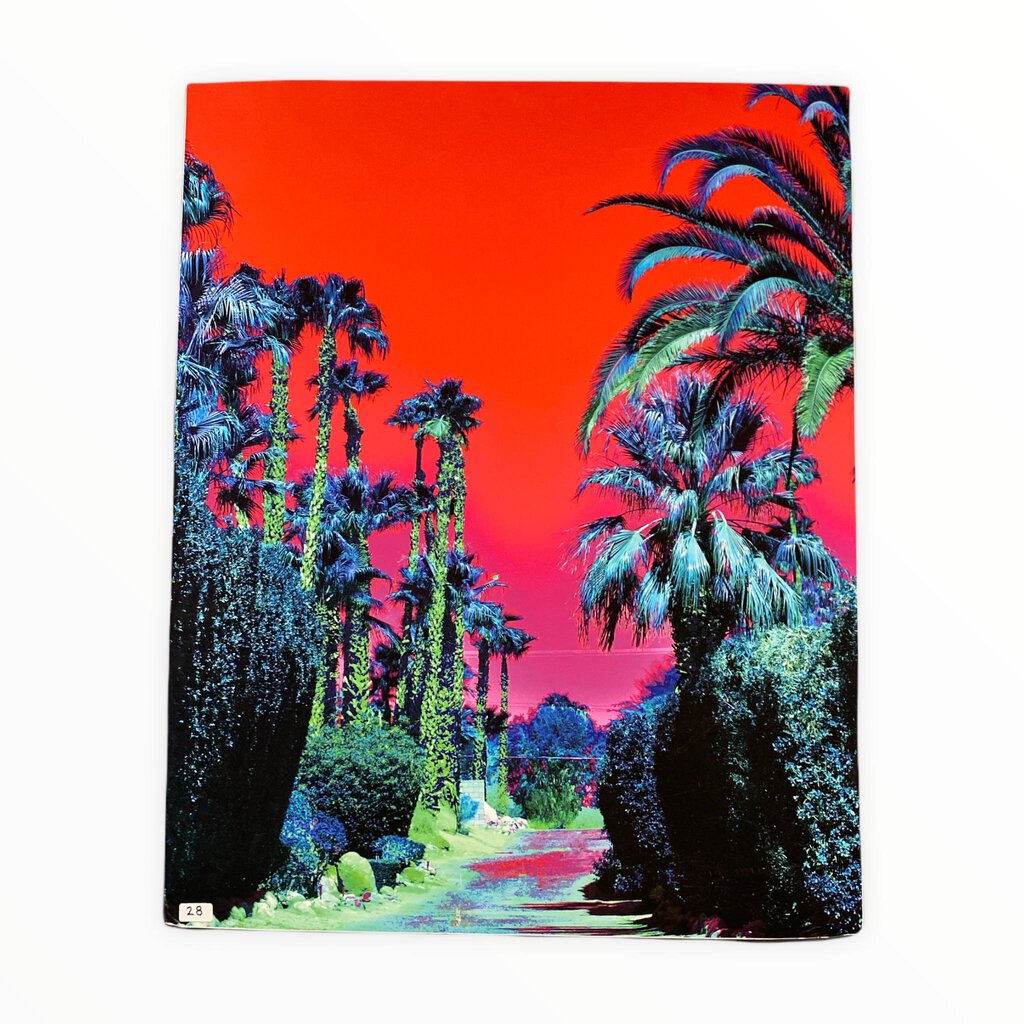 #28 "Neon Sunset" Nathan Allen