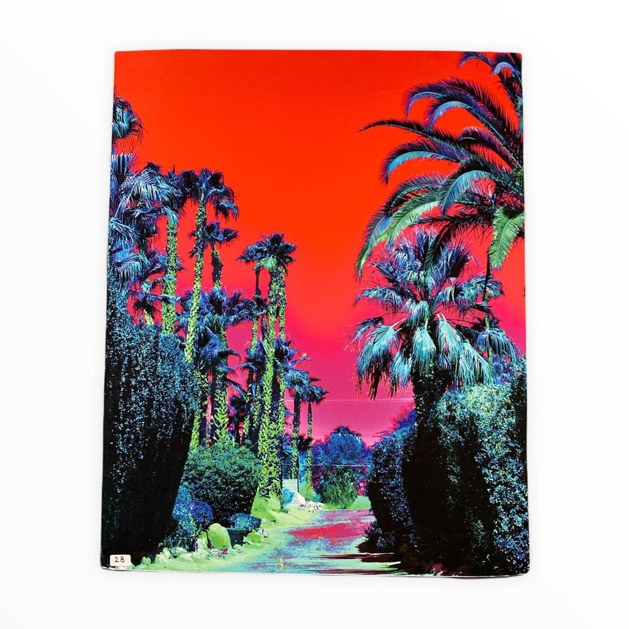 #28 "Neon Sunset" Nathan Allen