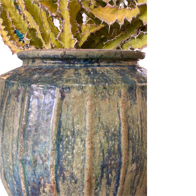 Terracotta Vessel w/ Cactus