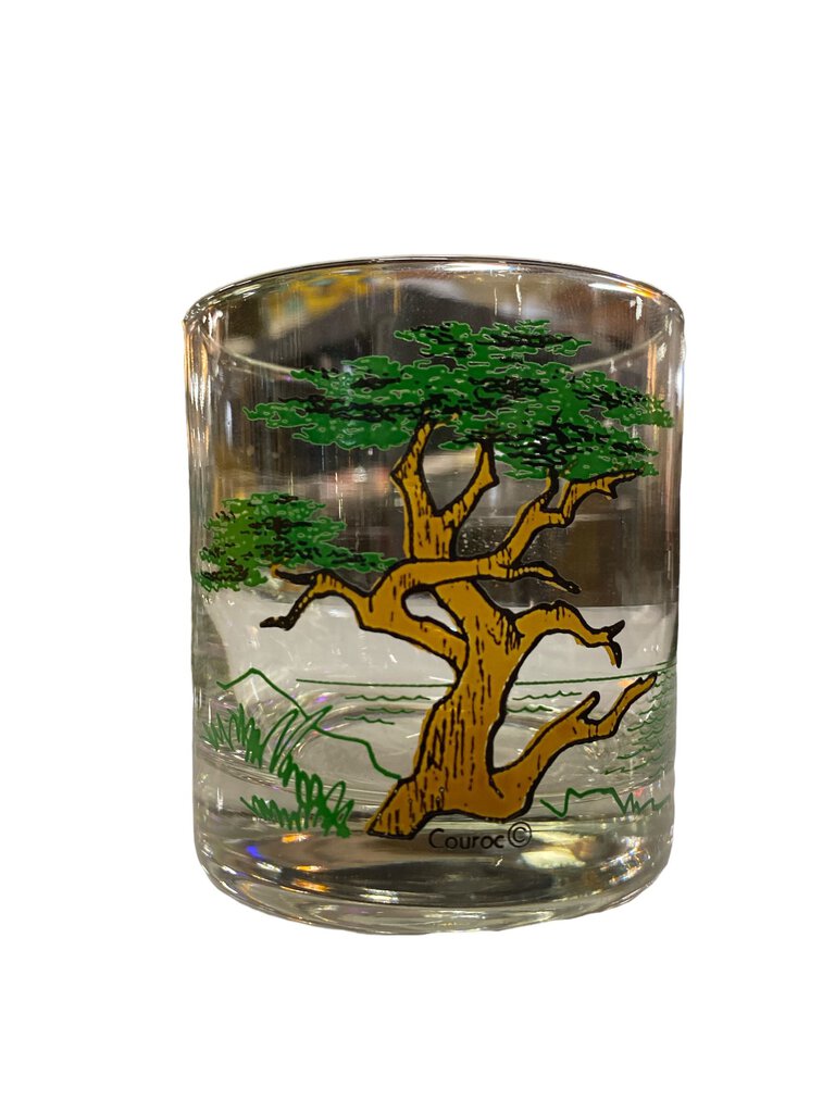 Mid Century Courec Old fashioned Glasses (5)