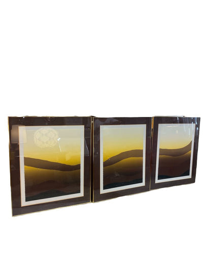 Vintage Triptych 70s Dunes Wall Art by Jack Duganne